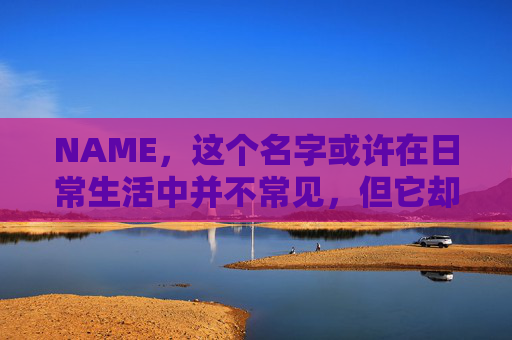 NAME，这个名字或许在日常生活中并不常见，但它却在某些领域里扮演着重要的角色。今天，让我们一起来探索这个名字背后的故事和意义